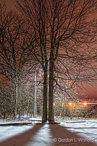 Bright Night Sky_33329-32.jpg - Photographed along the Rideau Canal Waterway at Smiths Falls, Ontario, Canada.